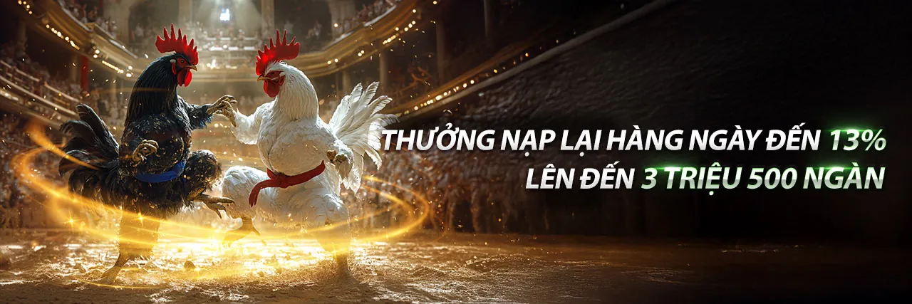 Đá Gà Trực Tuyến s666me nhà cái